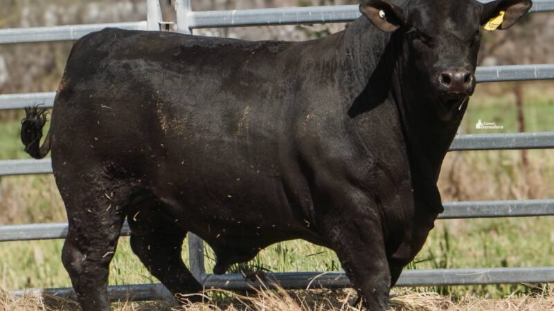 LOTE 12A RP 10233 CAB. POZO DE LA CARRETA