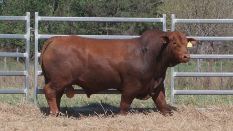 LOTE 12B RP 10273 CAB. POZO DE LA CARRETA