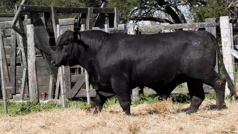 LOTE 13B RP 2057 CAB. YUNTA PORÁ
