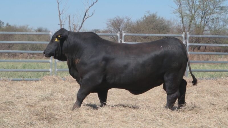 LOTE 18A RP 10097 CAB. POZO DE LA CARRETA