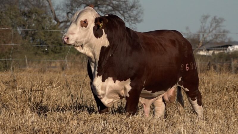 LOTE 23A RP 8691 CAB. CEIBALITO