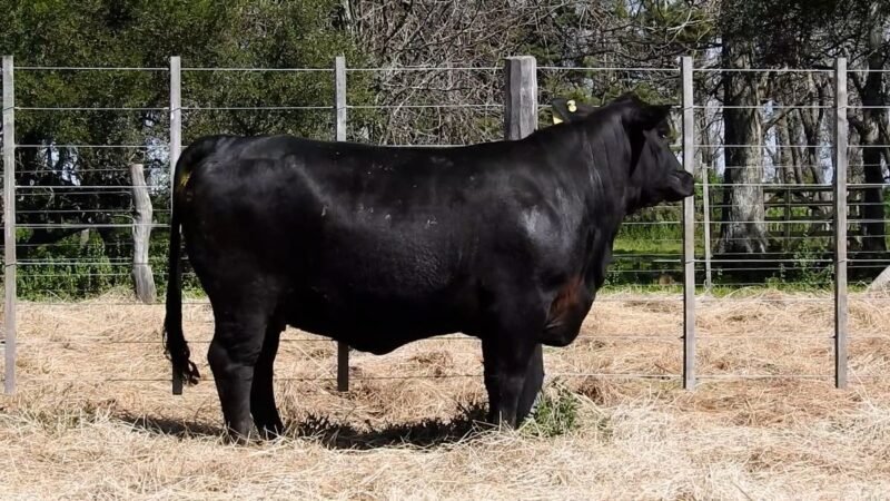 LOTE 28A RP 2054 CAB. YUNTA PORÁ