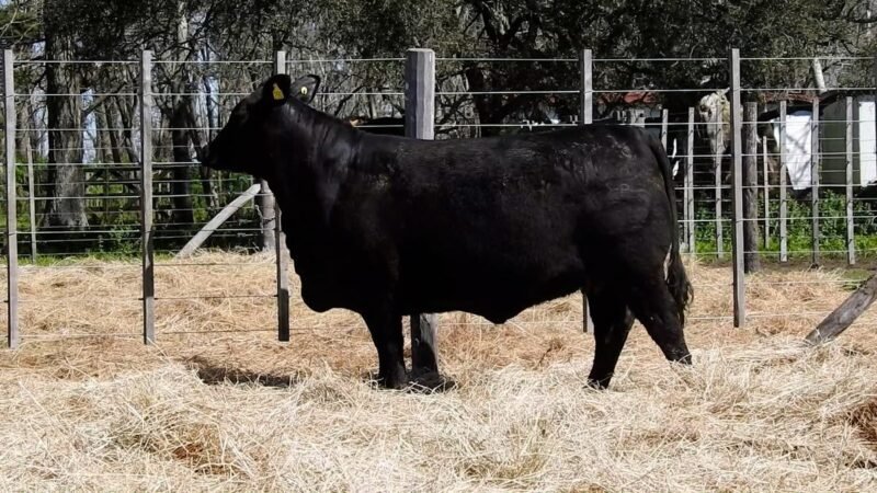 LOTE 28B RP 2062 CAB. YUNTA PORÁ