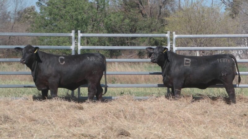 LOTE 40A RP 10696 CAB. POZO DE LA CARRETA