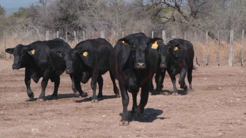 LOTE 44A RP 2324 CAB. SIGUIMAN