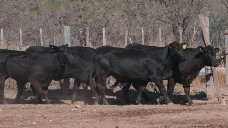 LOTE 45A RP 3106 CAB. SIGUIMAN