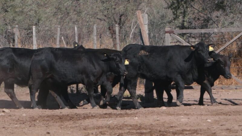 LOTE 46A RP 3080 CAB. SIGUIMAN