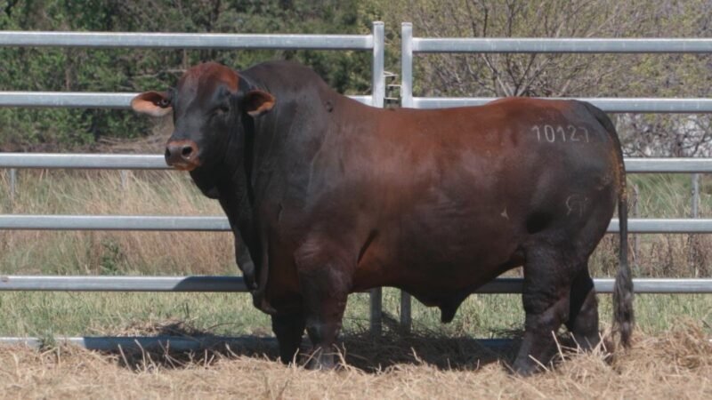 LOTE 4B RP 10127 CAB. POZO DE LA CARRETA