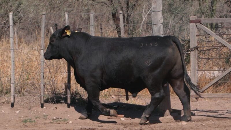 LOTE 9A RP 3145 CAB. SIGUIMAN