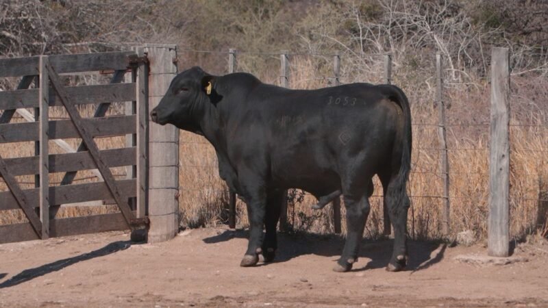 LOTE 9B RP 3053 CAB. SIGUIMAN
