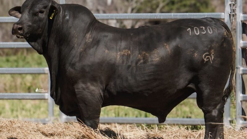 LOTE 17B RP 10307 CAB. POZO DE LA CARRETA