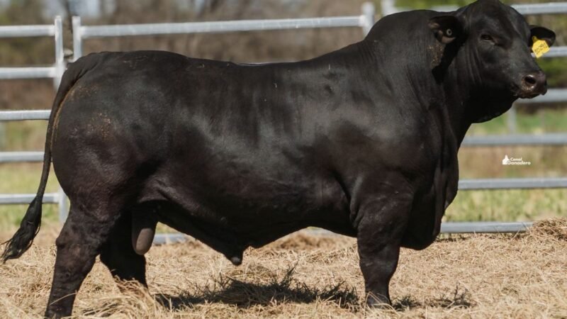LOTE 18B RP 10291 CAB. POZO DE LA CARRETA