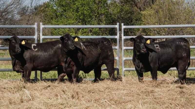 LOTE 33A RP 10619 CAB. POZO DE LA CARRETA