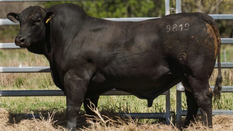 LOTE 4A RP 9819 CAB. POZO DE LA CARRETA