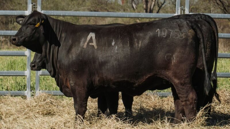 LOTE 42A RP 10758 CAB. POZO DE LA CARRETA