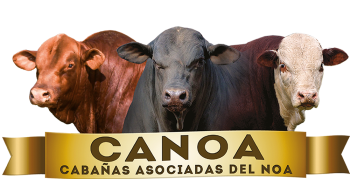 canoaLOGO